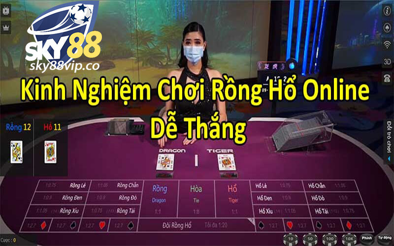 Bí mật thành công khi chơi Rồng hổ online tại Sky88